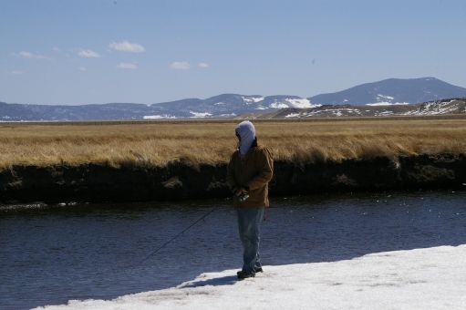 Outdoors Photographs